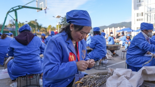 云南龙陵石斛枫斗加工与特色美食竞技展风采