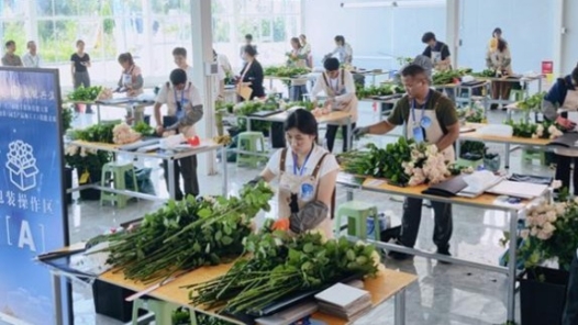云南姚安：云花高手巅峰对决