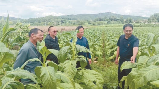 云南省昆明市优秀党务工作者史朝非：“贴心书记”带头干 乡村振兴正当时